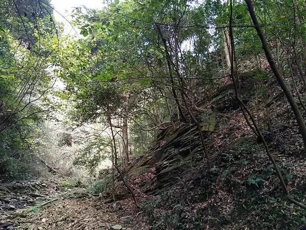 狙击精英V2